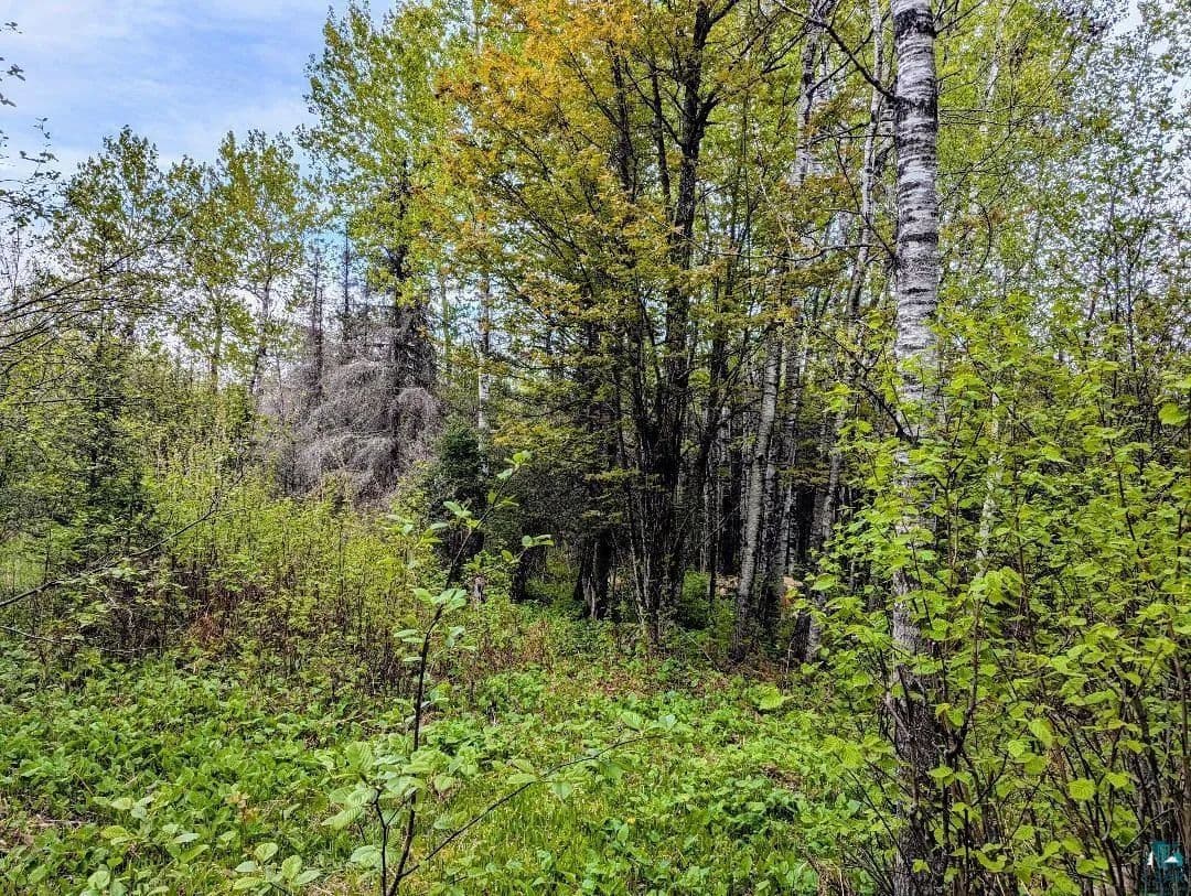 Vacant Land in Duluth - Duluth, Minnesota, 55803