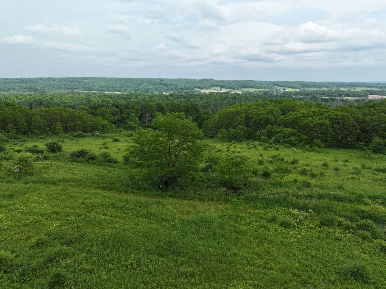 24.5 acres Recreational Land and Hunting Land with Building Site in South Dayton NY Dye Road - South Dayton, New York, 14138
