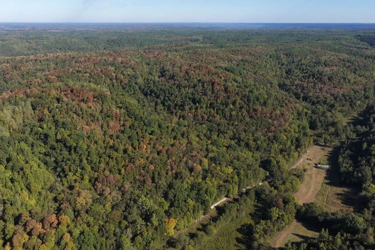 Davis Hollow 112 - Waynesboro, Tennessee, 38383