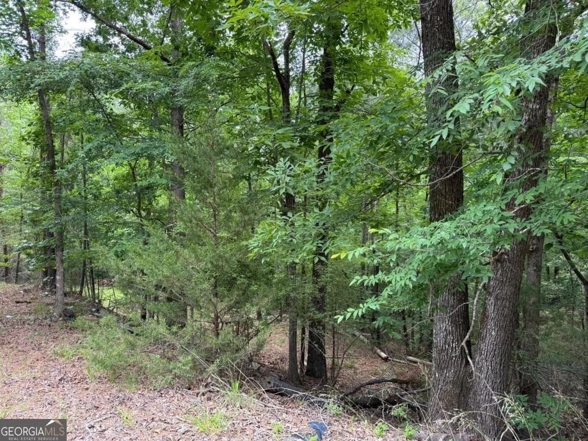 Vacant Land in Elberton - Elberton, Georgia, 30635