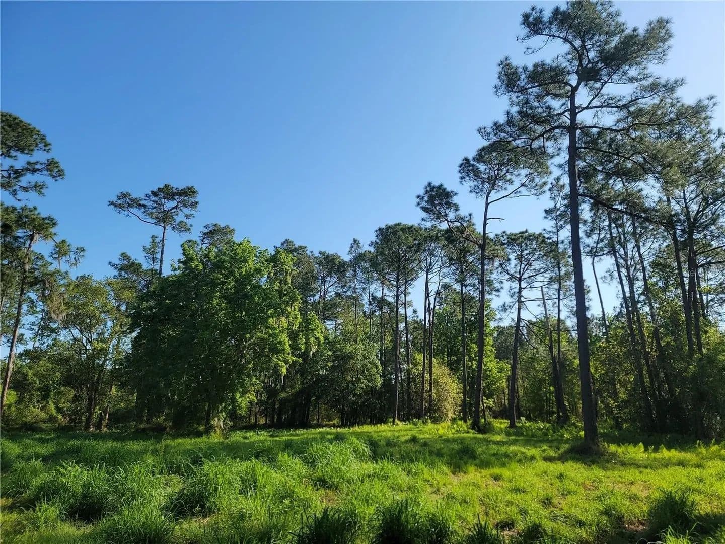 Lots & Land-Other in WINTER HAVEN - Winter Haven, Florida, 33884