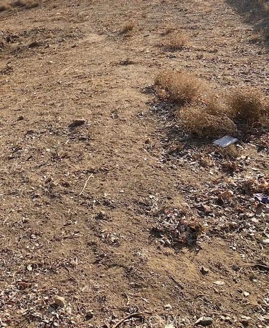 Vacant Land in Del Sur - Del Sur, California, 93536