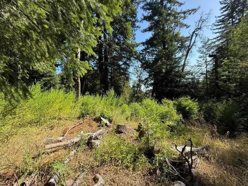 Vacant Land in Los Gatos