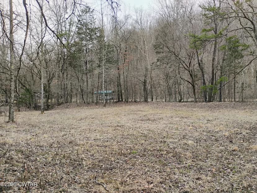 Lots & Land-Other in Clifton