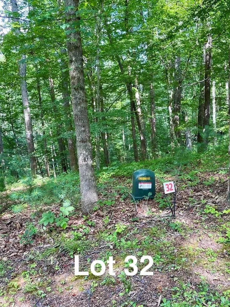 Vacant Land in Stuart - Stuart, Virginia, 24171