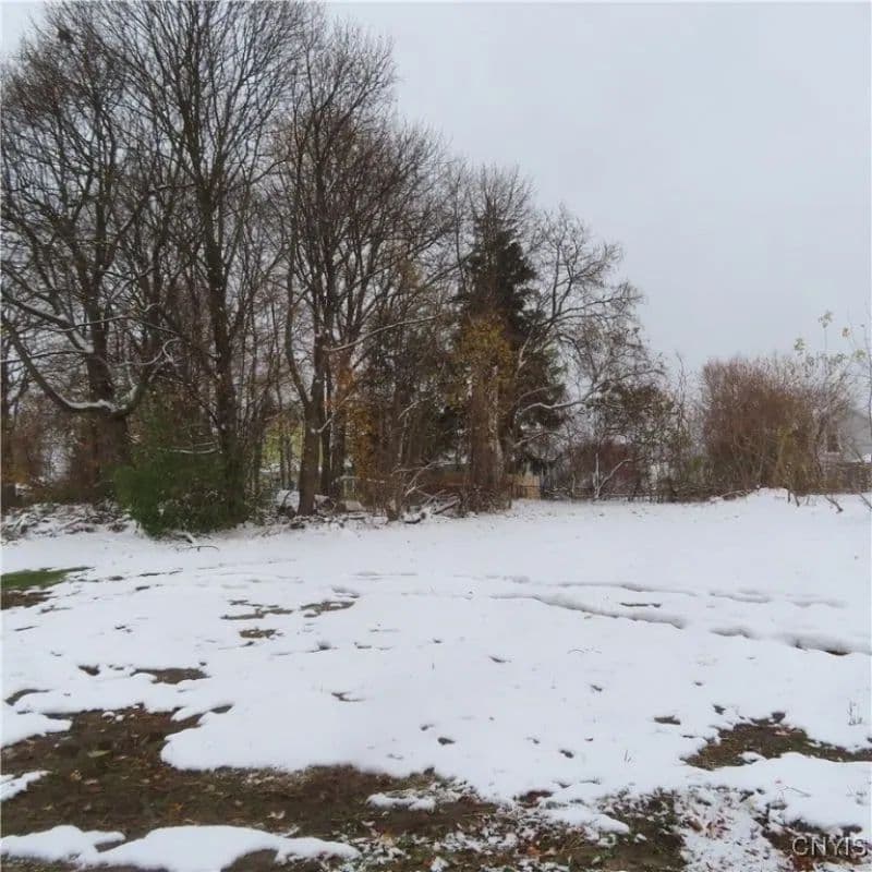 Land -Single Family Acreage in Syracuse