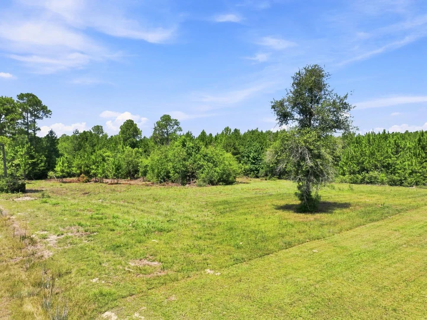 Lots & Land-Other in Longville - Longville, Louisiana, 70652