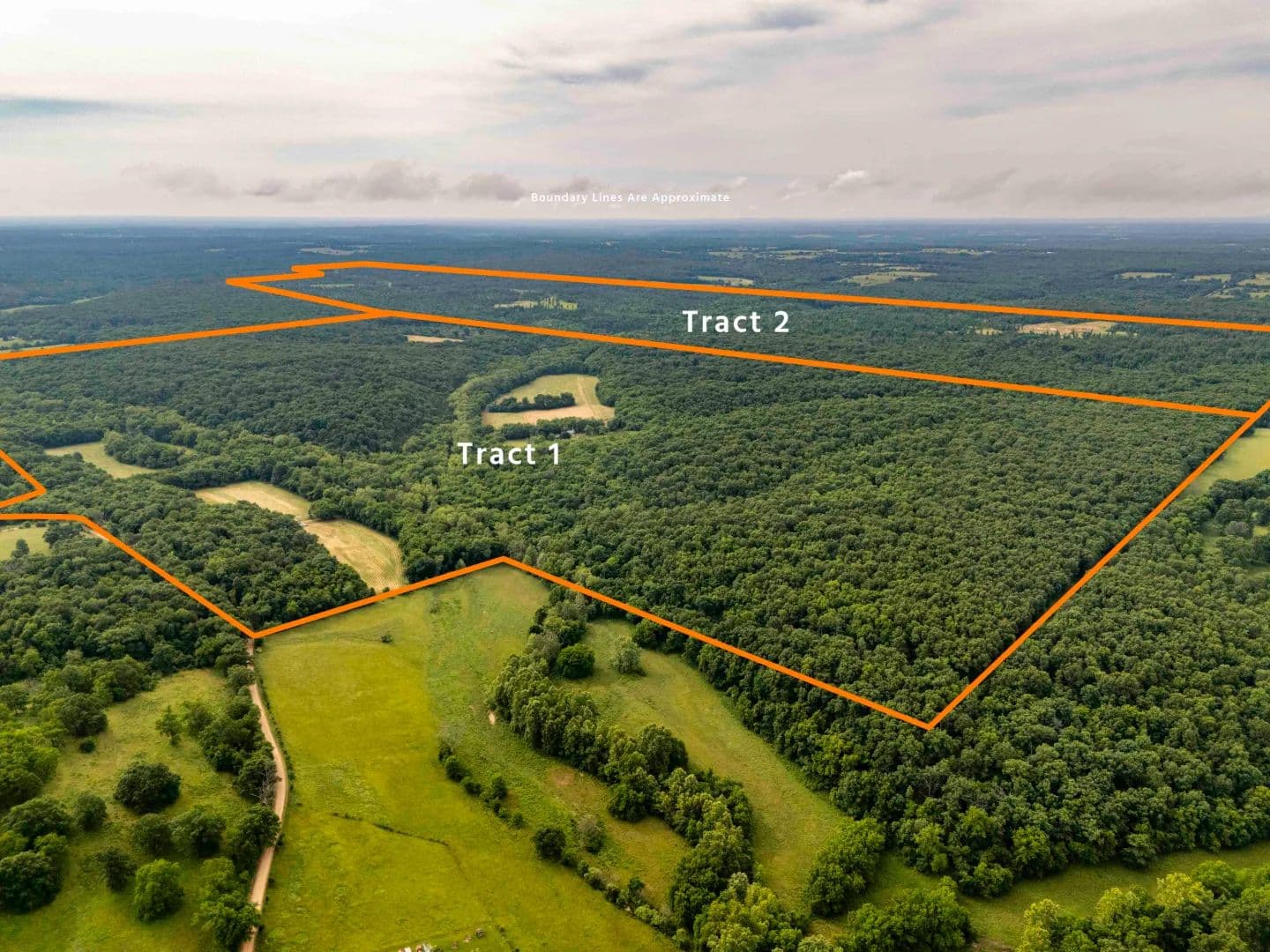 Abram Rd, Hartville, Wright County, MO 65667 Land for Sale at Auction – Burke Ranch - Hartville, Missouri, 65666