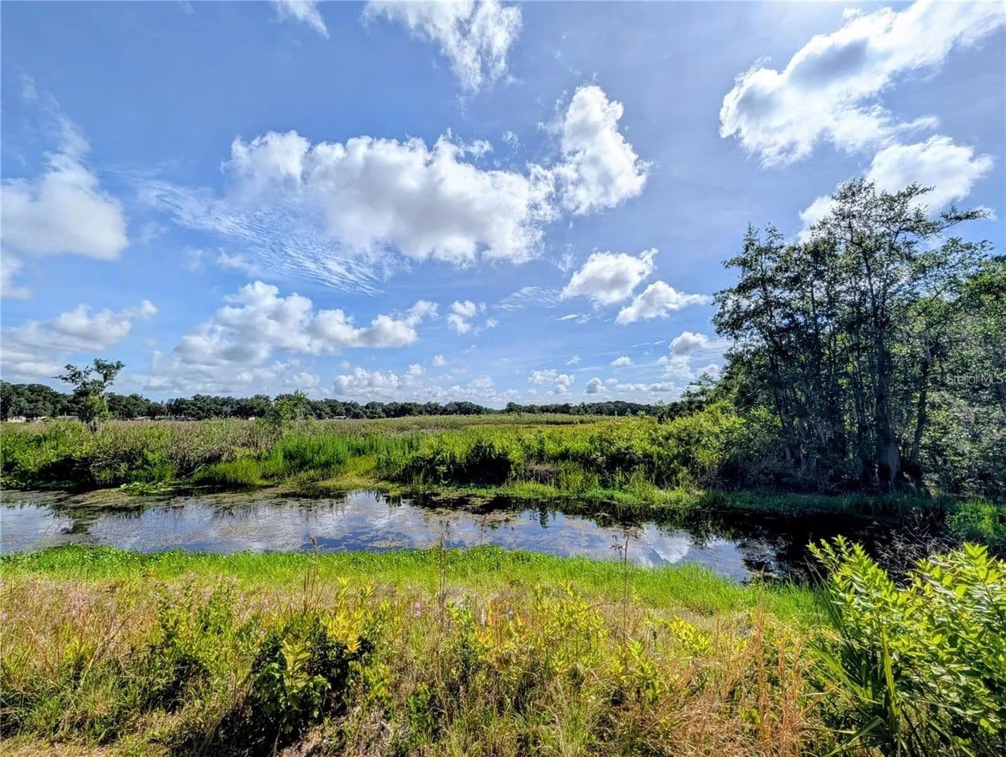 190 Acres of Land for Sale in INVERNESS, FL - Inverness, Florida, 34453