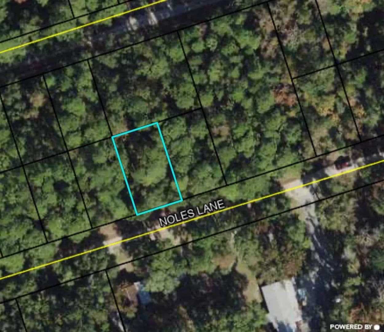Property from Lot 40 Noles Lane #1 - KW - Crawfordville, Florida, 32327