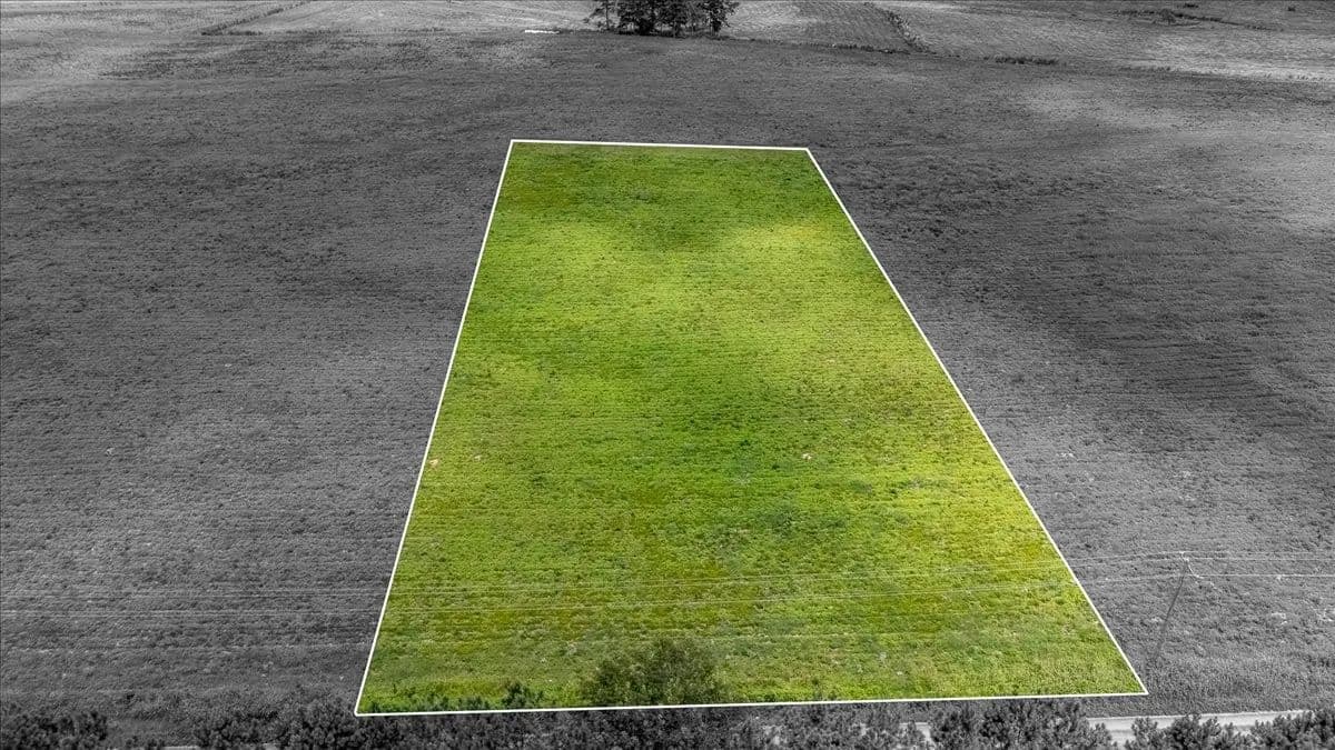 Vacant Land in Leoma - Leoma, Tennessee, 38468