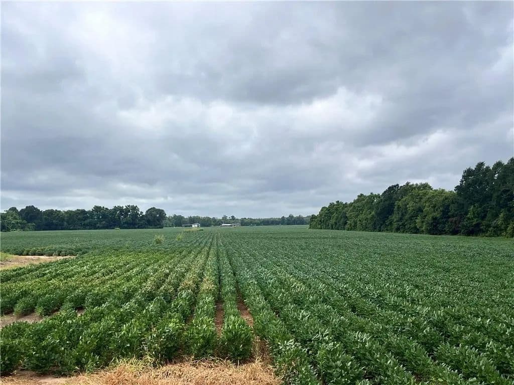 Lots & Land-Other in Cottonport - Cottonport, Louisiana, 71327