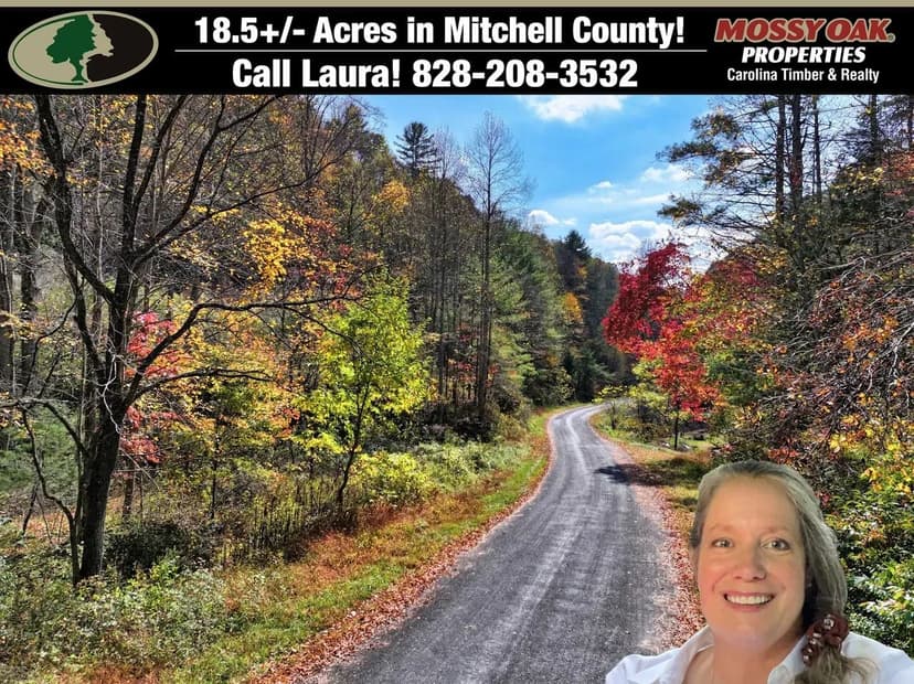 18.54+/- acres of UNRESTRICTED mountain beauty with OWNER FINANCE!
