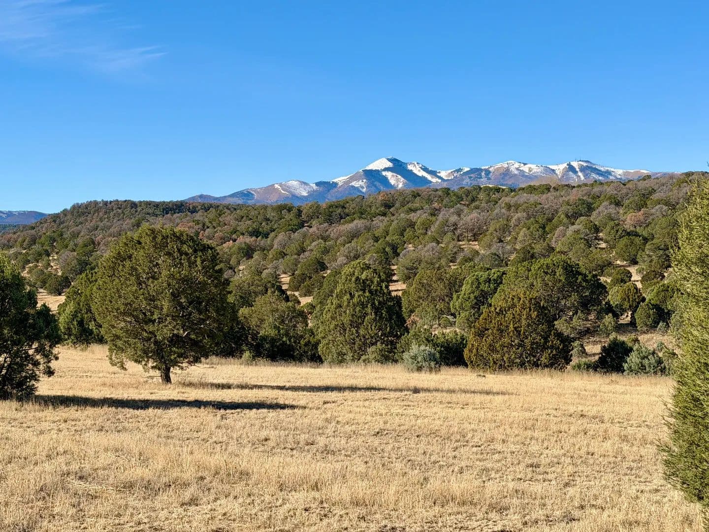 Lots & Land-Other in Alto - Alto, New Mexico, 88346
