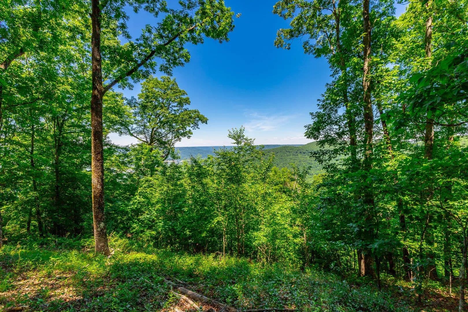 Lots & Land-Other in Jasper - Jasper, Tennessee, 37347