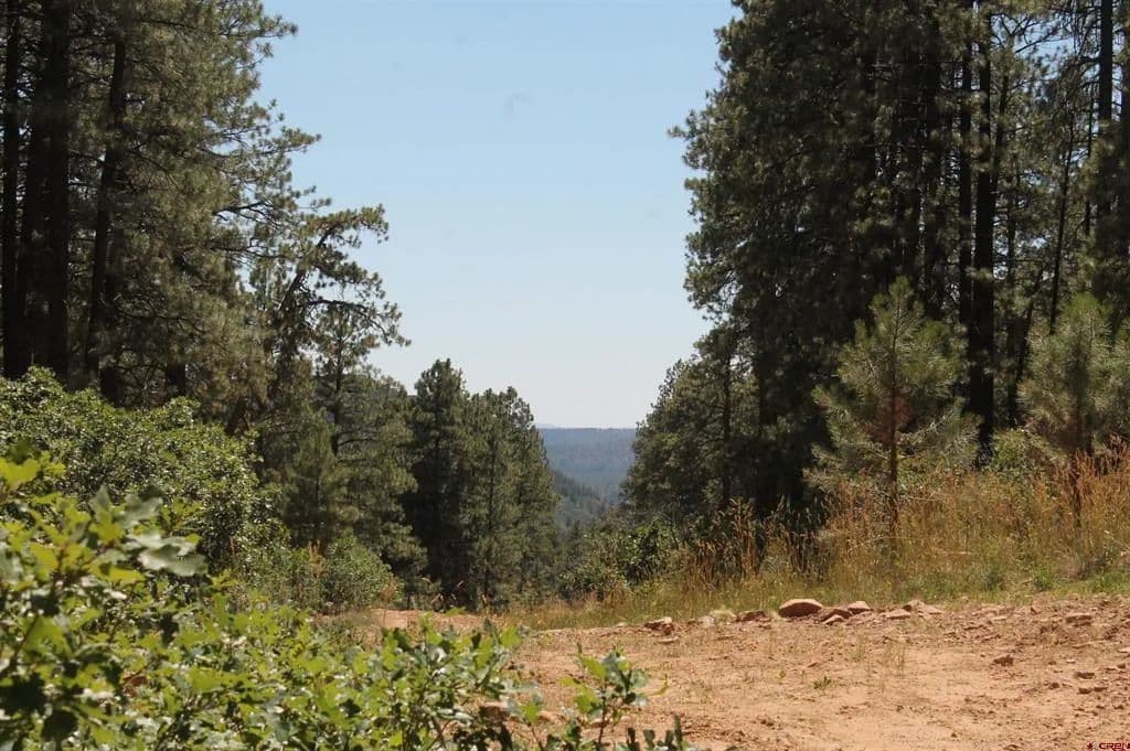 1.33 Acres of Land for Sale in Bayfield, CO - Bayfield, Colorado, 81122