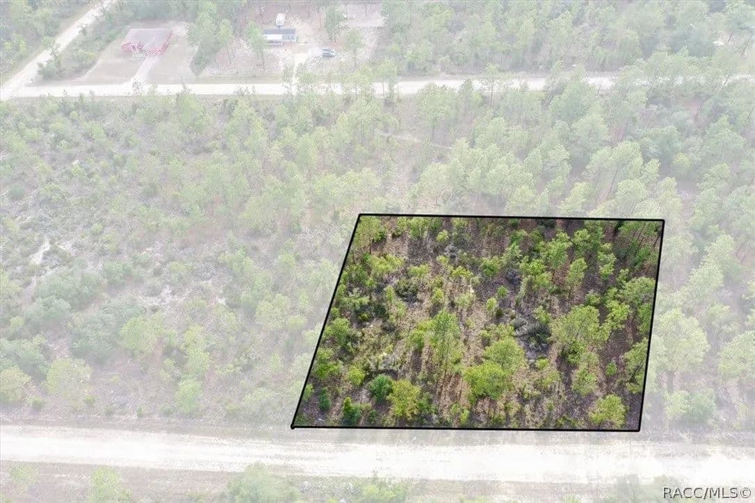Lots & Land-Other in Williston - Williston, Florida, 32696