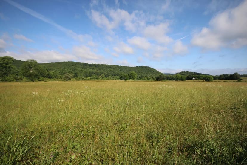 Property from 110 Acres Bivens Rd. - KW