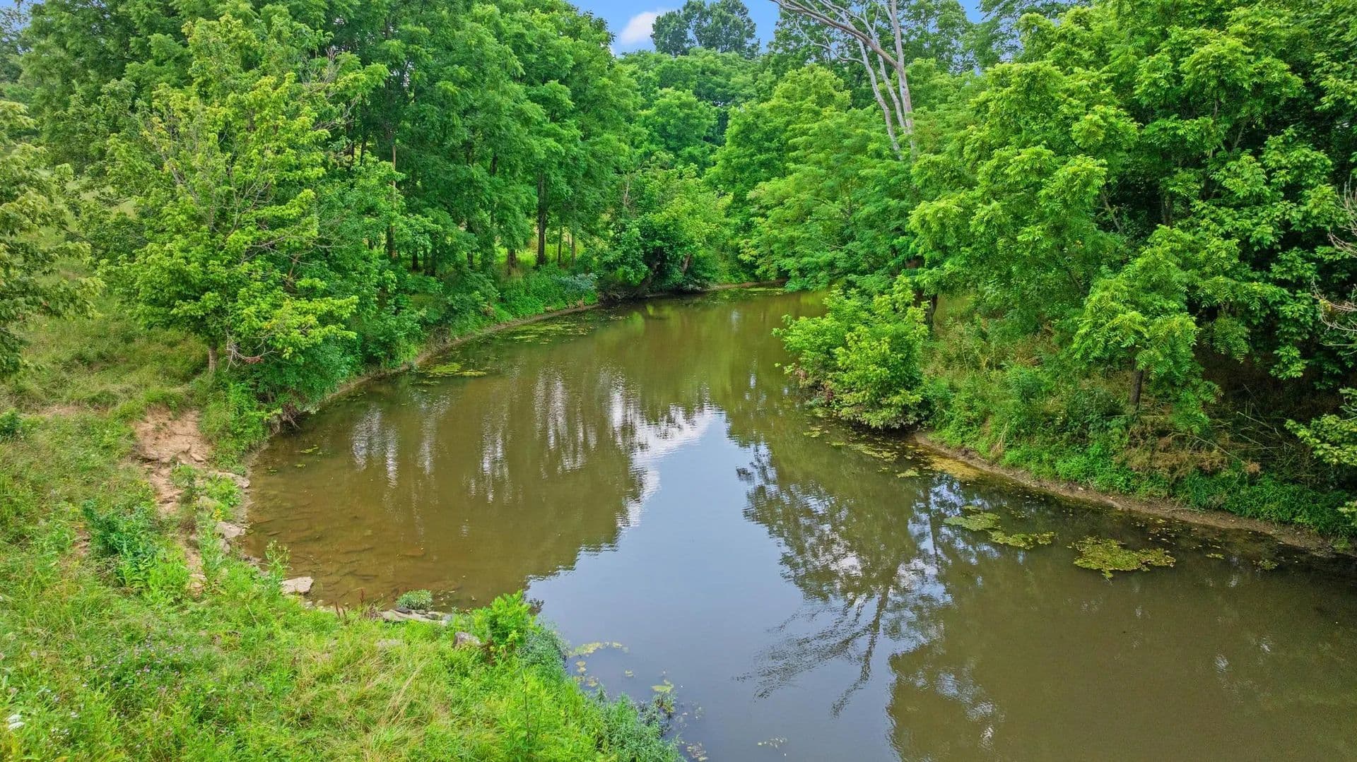 89 Acres of Land for Sale in Cynthiana, KY - Cynthiana, Kentucky, 41031