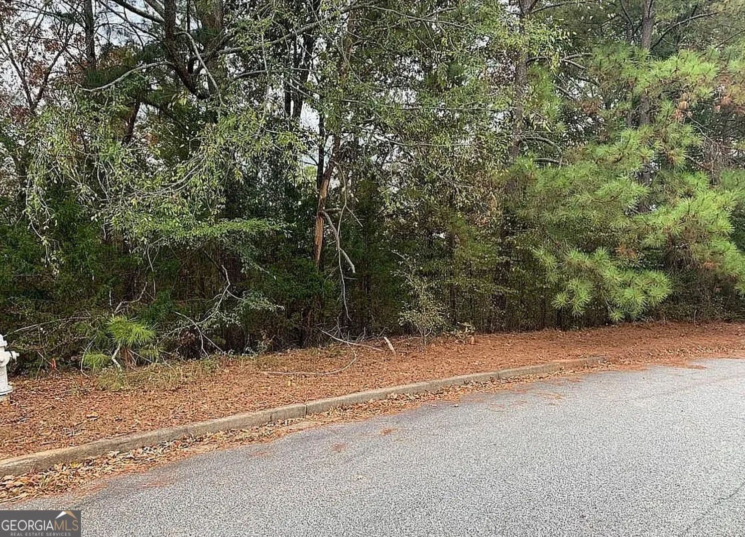 2.13 Acres of Land for Sale in Stockbridge, GA - Stockbridge, Georgia, 30281