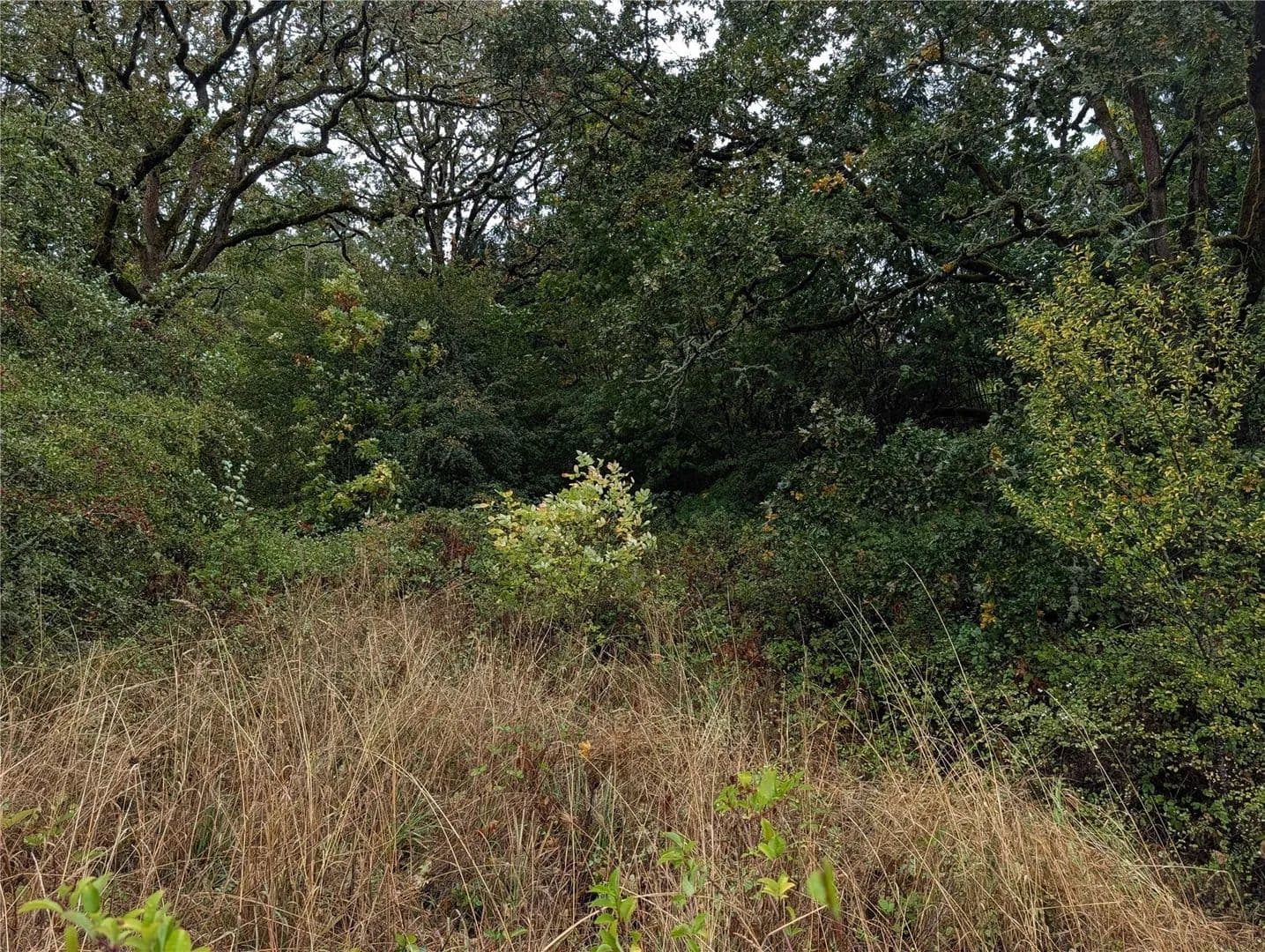 Vacant Land in Chehalis - Chehalis, Washington, 98532