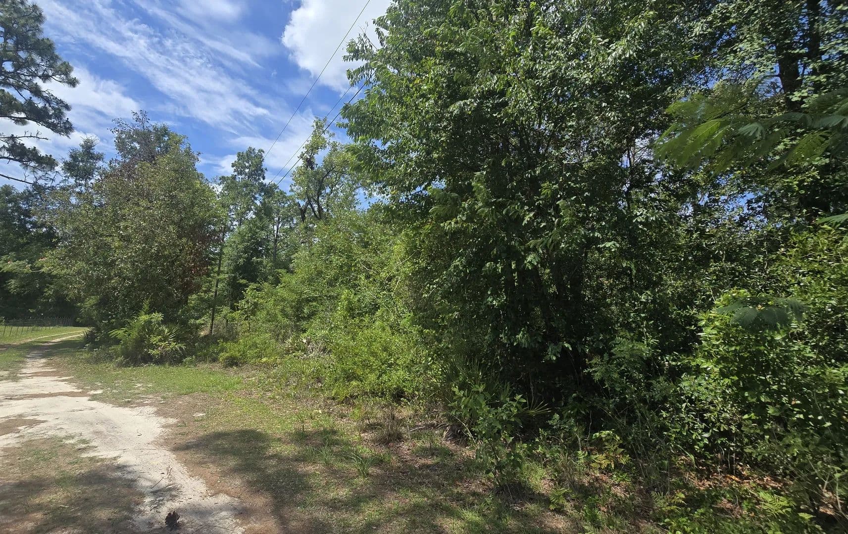 Land -Single Family Acreage in Old Town - Old Town, Florida, 326808299
