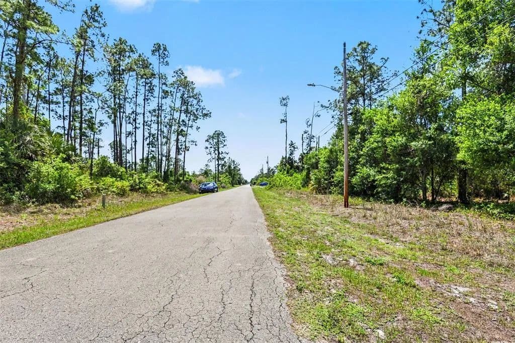 Vacant Land in Lehigh Acres - Lehigh Acres, Florida, 33972