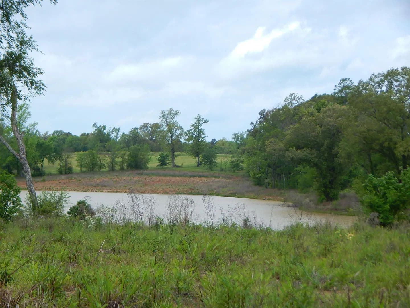 Vacant Land in Diana - Diana, Texas, 75640