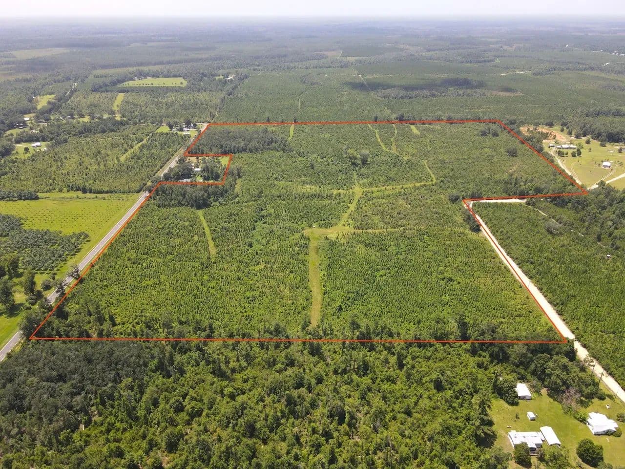 Marysville School Timber Tract - Blountstown, Florida, 32424