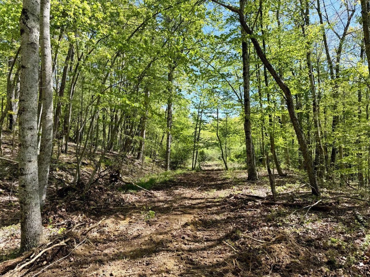 Property from 0 Hinton RD - KW - White Oak, West Virginia, 25989