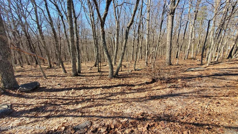 Vacant Land in Bushkill