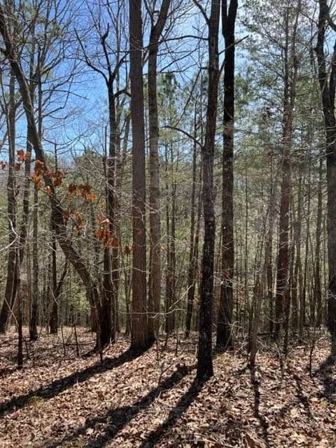 Lots & Land-Other in Ellijay - Ellijay, Georgia, 30540