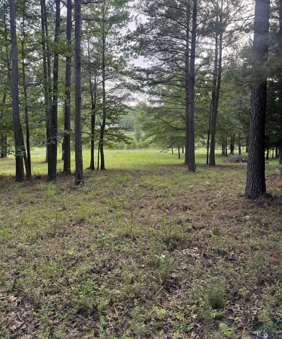 Lots & Land-Other in Jefferson - Jefferson, Texas, 75657