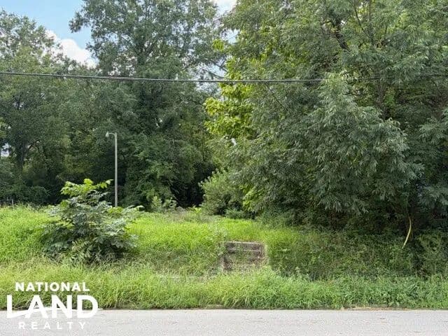 Buildable Commercial-Zoned Lot in Fast-Growing Corridor (Lot 19) - Durham, North Carolina, 27703