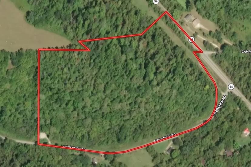 30± Acres – Ohio County Hunting Land with Deer Funnel & Bedding Cover