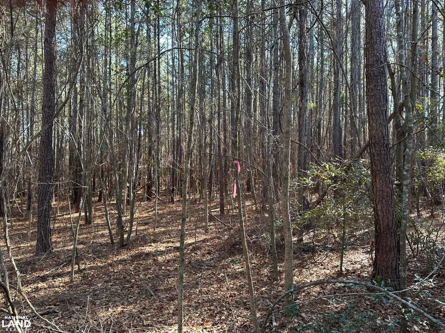Buies Mill Rd. Lot 6 - Red Springs, North Carolina, 28377