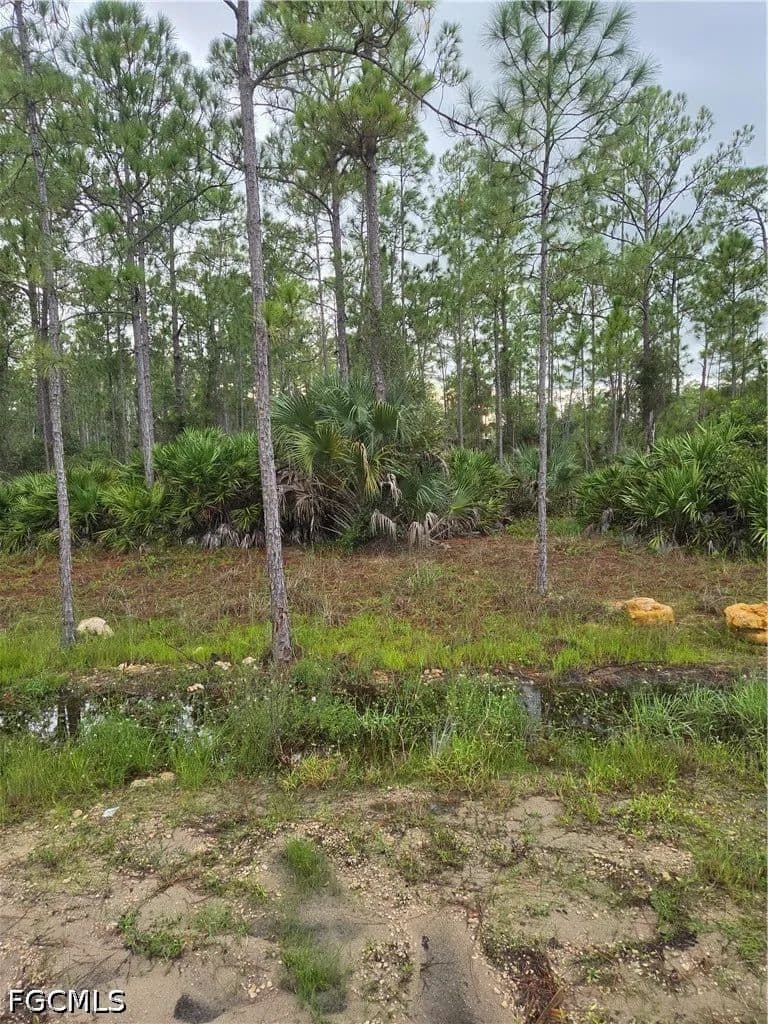 Vacant Land in Alva - Alva, Florida, 33920