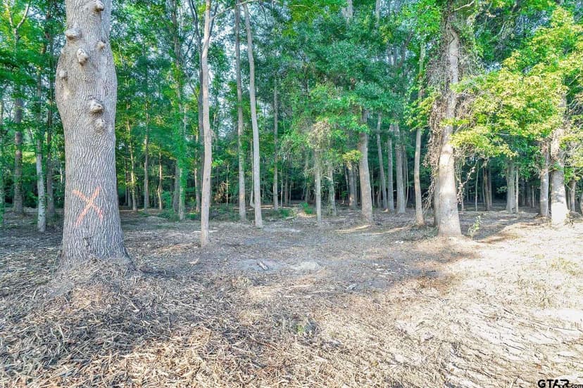 Property from 11120 County Road 4103 (lot 5) #11120 County Road 4103 (lot 5) - KW