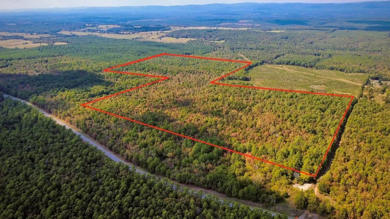 90 ACRES OF TIMBERLAND | WATSON, OKLAHOMA - Watson, Oklahoma, 74963