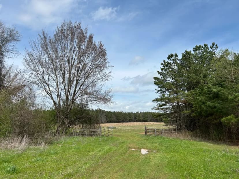 379 Acres in Montgomery County, MS 