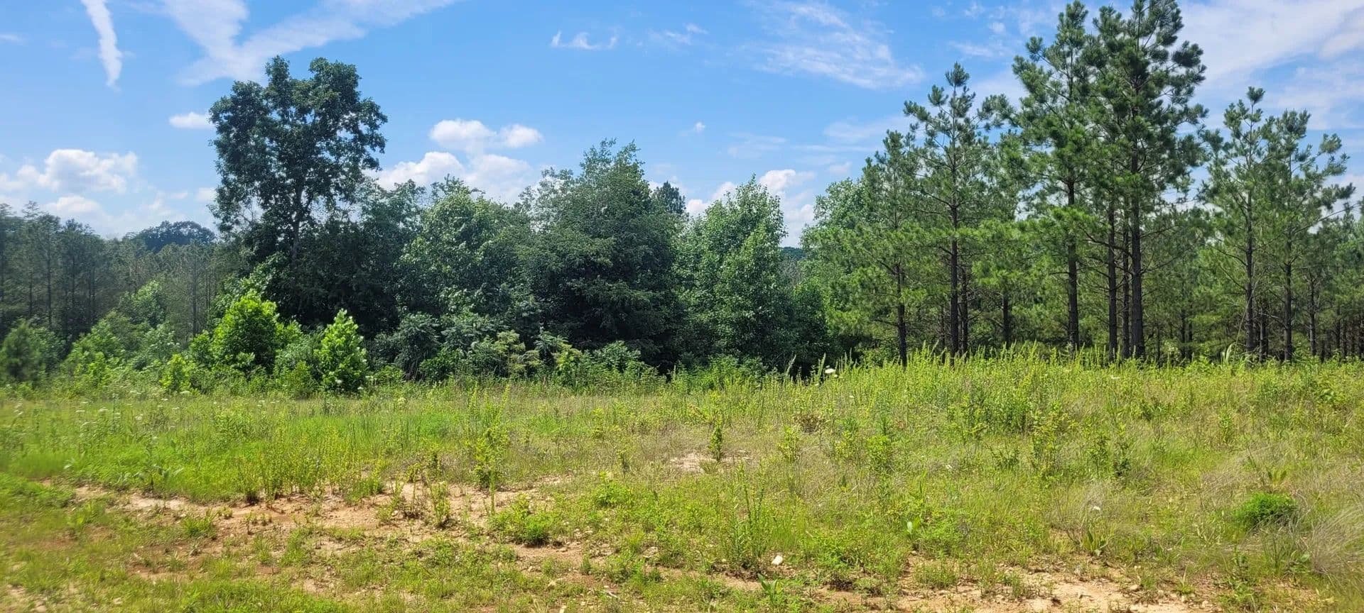 Vacant Land in Dover - Dover, Tennessee, 37058