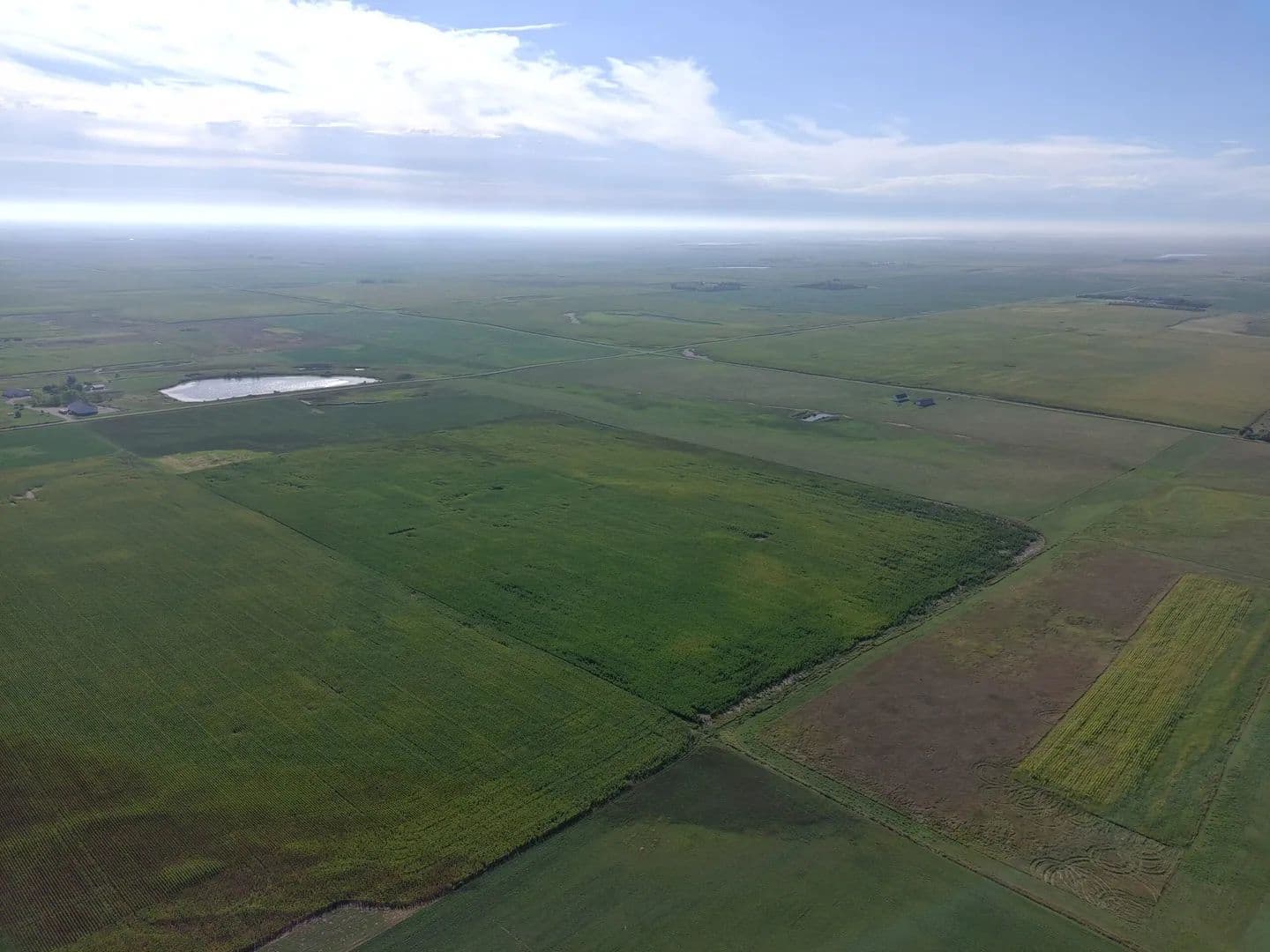 160± Acres | Richland Township | Edmunds County, South Dakota - Ipswich, South Dakota, 57451