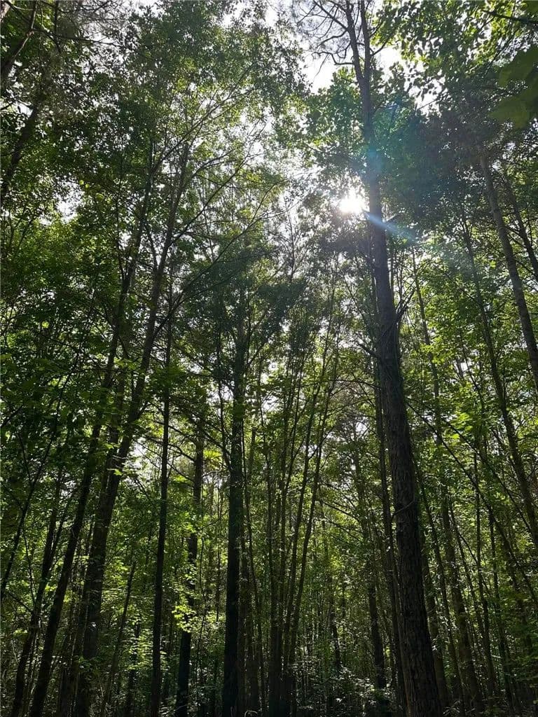 9.3 Acres of Land for Sale in Pelzer, SC - Pelzer, South Carolina, 29669