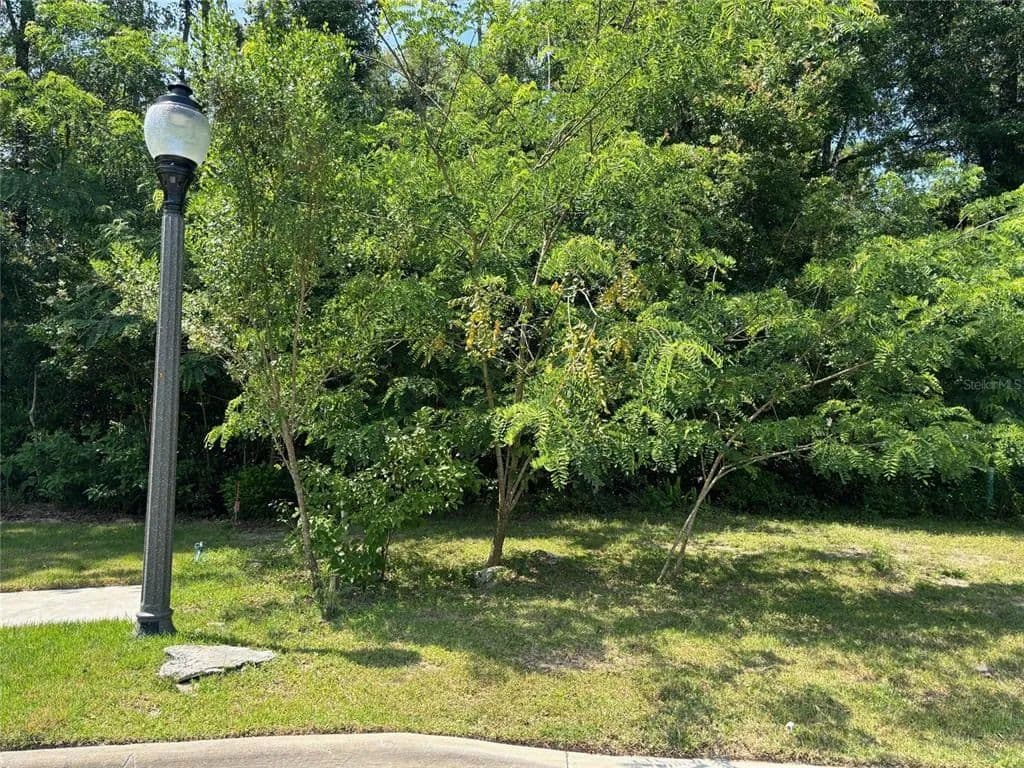 Vacant Land in Gainesville - Gainesville, Florida, 32605