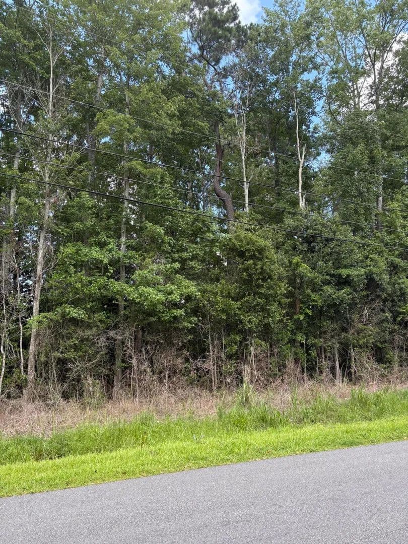 Vacant Land in North Charleston - North Charleston, South Carolina, 29418