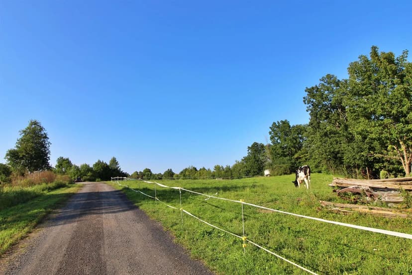 Lots & Land-Other in Grand Isle