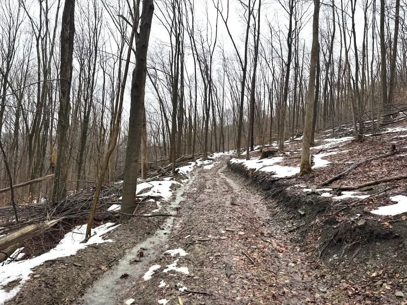 67 acres Hunting Land and Recreational Land in Ischua NY NY-16