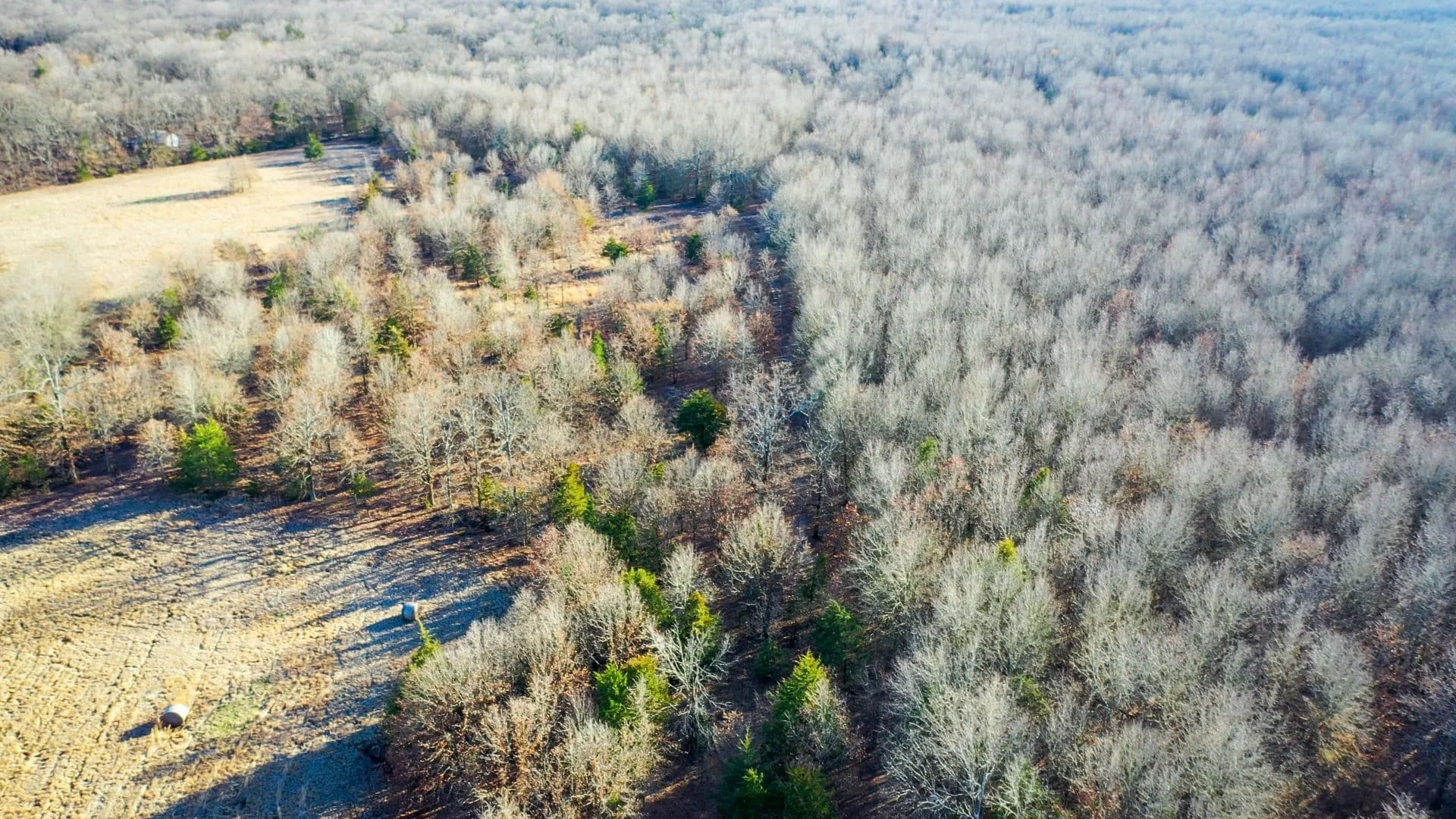 Recreational & Hunting Property in Lamar and Red River County, TX - Detroit, Texas, 75436