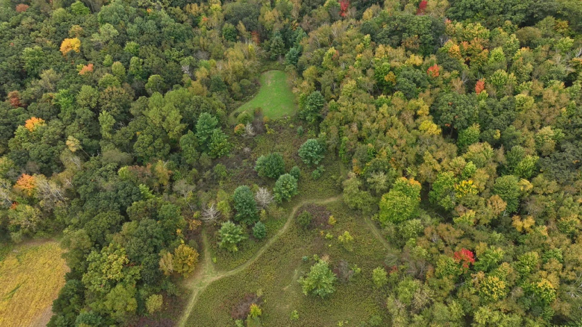 37.61-Acre Trophy Whitetail & Recreational Property | Hixton, Wisconsin - Hixton, Wisconsin, 54635