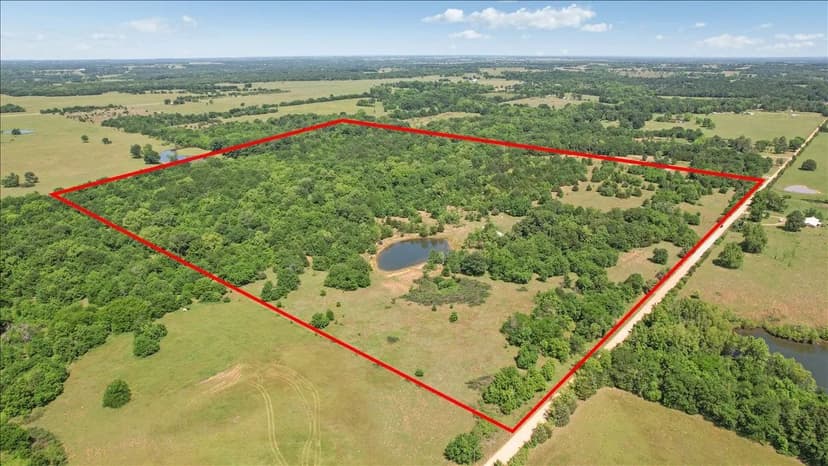 891 Sassafras Road - 80 Acres